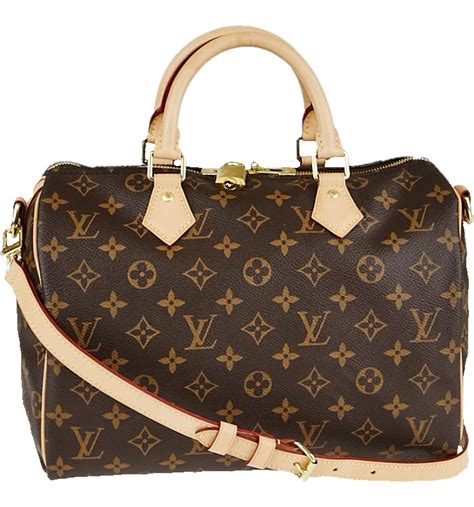 speedy mini lv|Lv bag speedy 30 price.